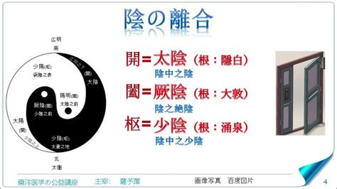 陰陽離合論|陰陽離合論:理論解析,典籍記載,原文,譯文,理論內容,